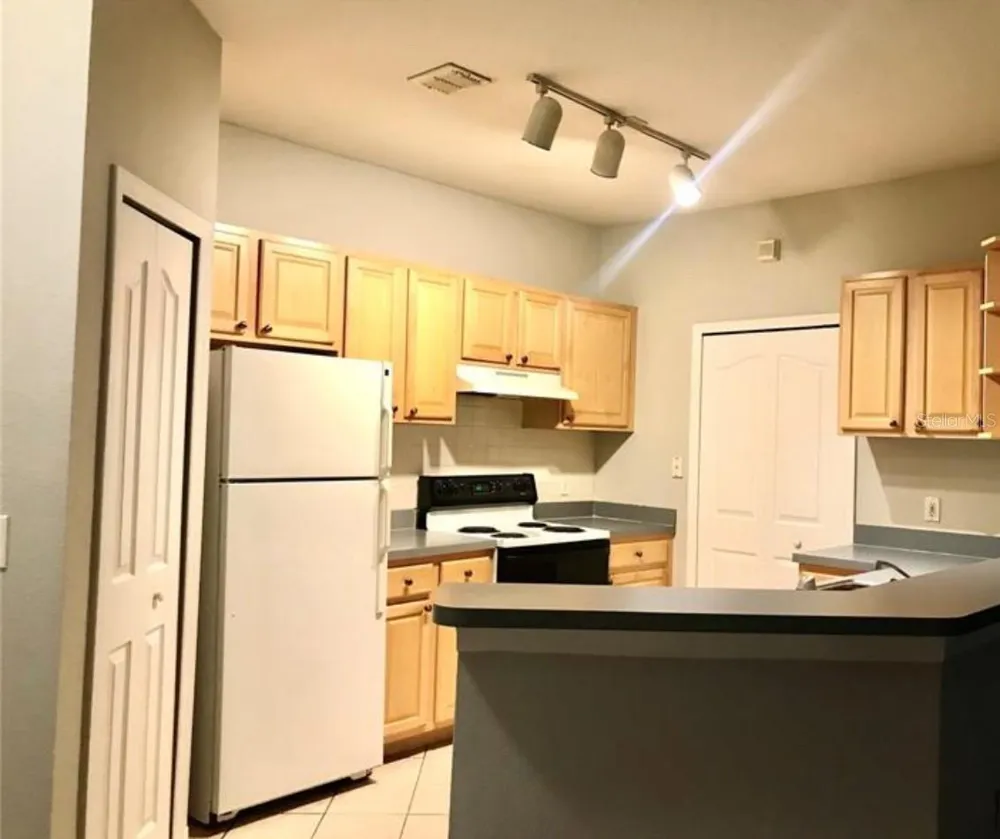 1150 LAKE SHADOW CIRCLE #3102 Maitland, FL 32751
