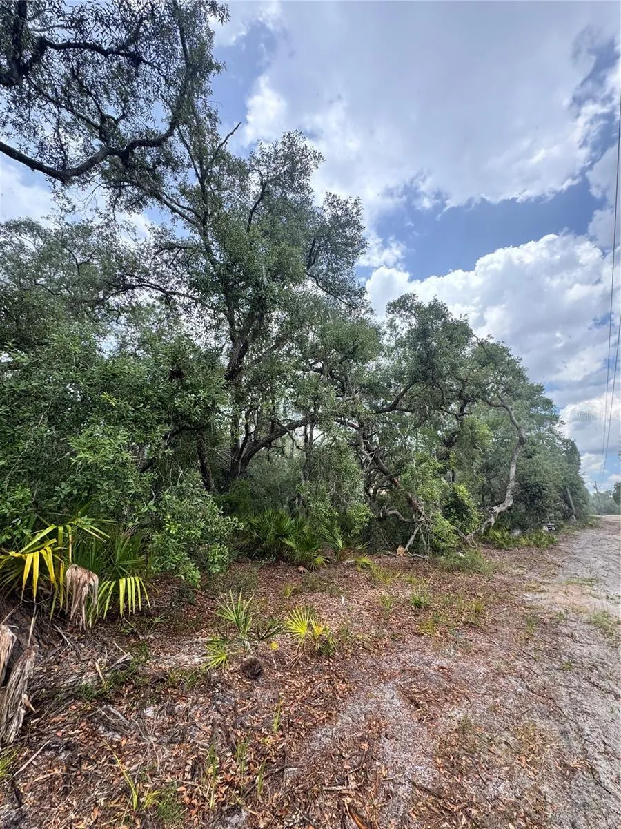 TBD SW 71ST ROAD ocala, FL 34473