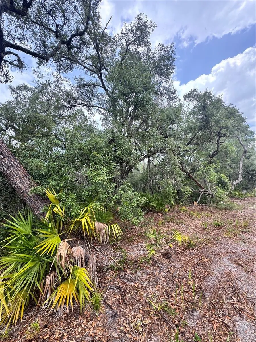 TBD SW 71ST ROAD ocala, FL 34473