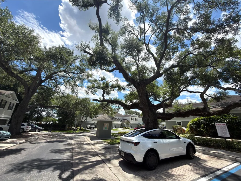2437 EARLSWOOD COURT Brandon, FL 33510