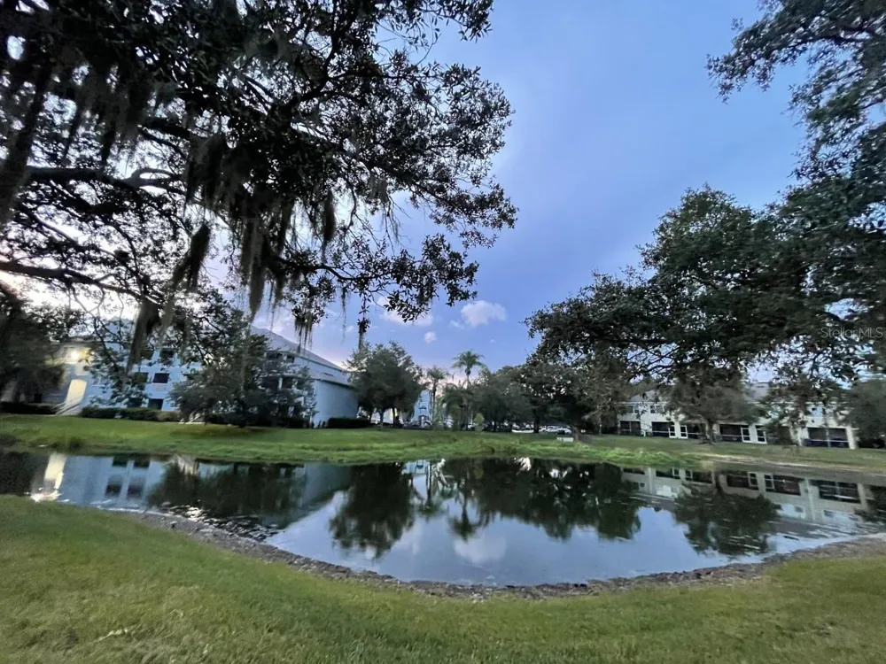 2437 EARLSWOOD COURT Brandon, FL 33510