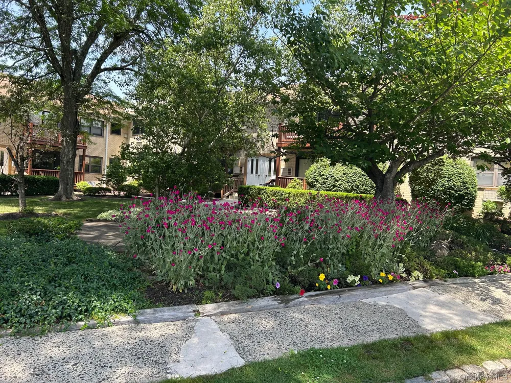 284 Sneden Place W #284 Spring Valley, NY 10977