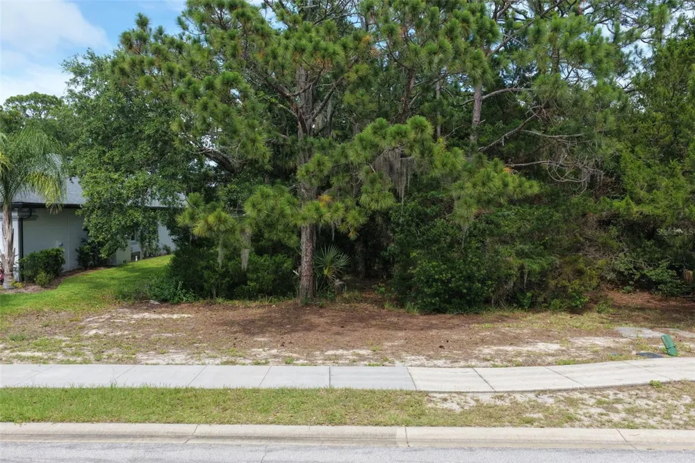 18 LAKEWALK DRIVE Palm Coast, FL 32137