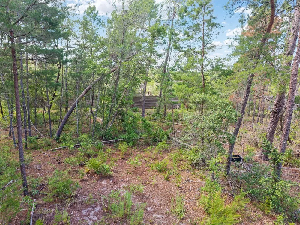 17171 SW 17TH CIRCLE ocala, FL 34473