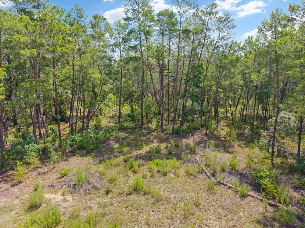 17171 SW 17TH CIRCLE ocala, FL 34473