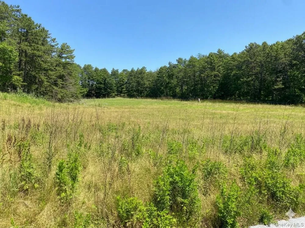 19 Sophia Court Westhampton, NY 11977