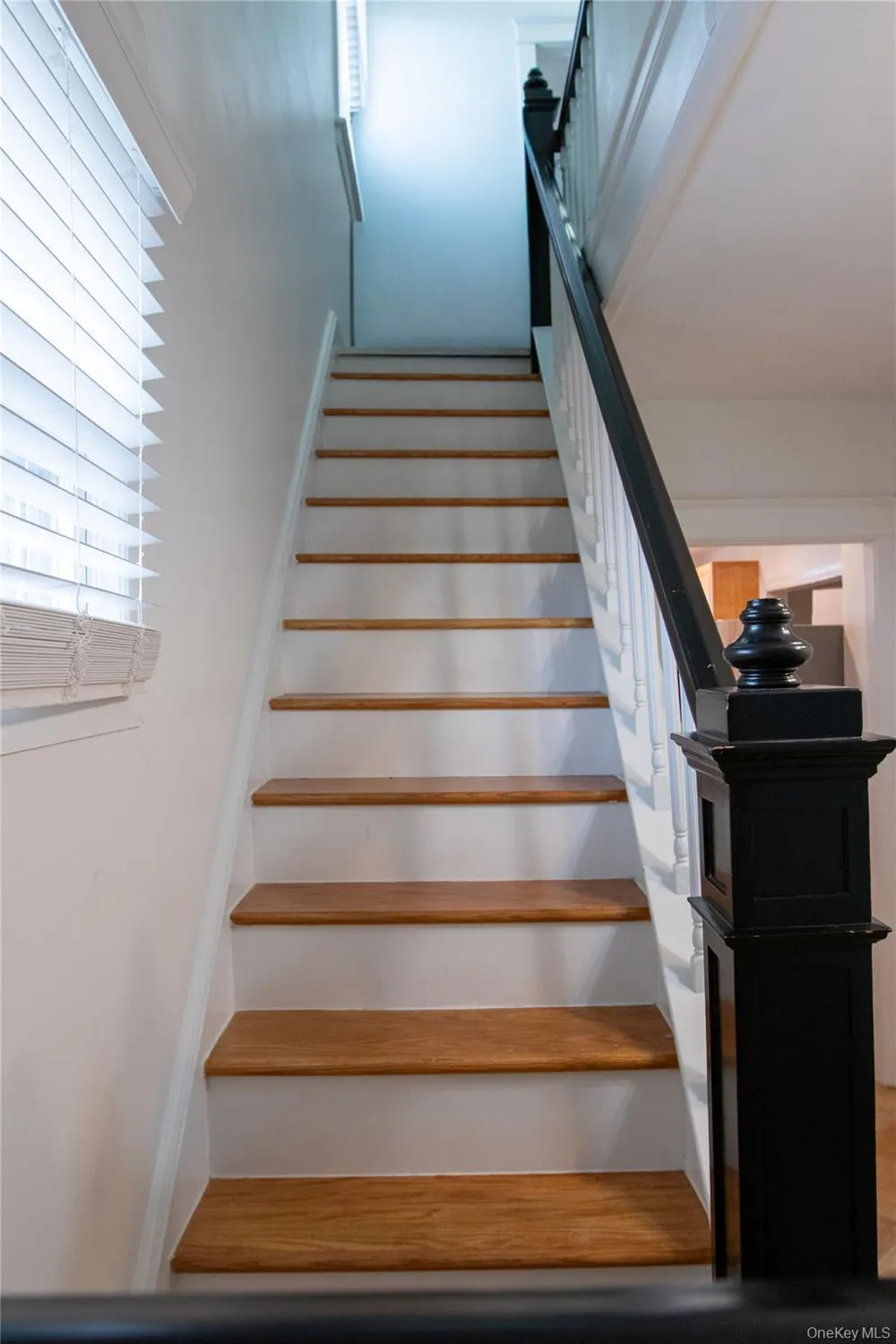 4810 Robertson Street Bronx, NY 10470