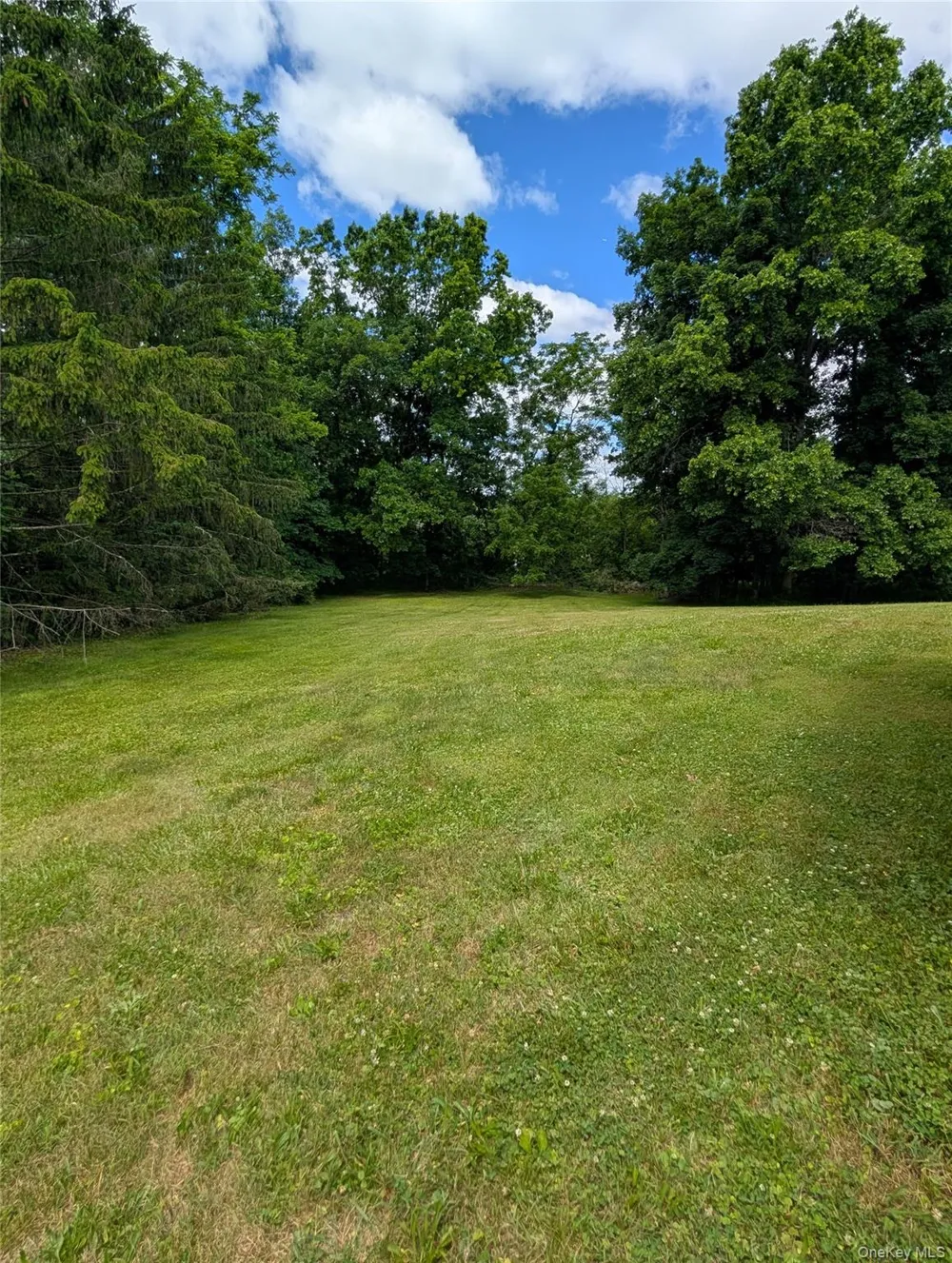 11 Kevin Court Montgomery, NY 12549