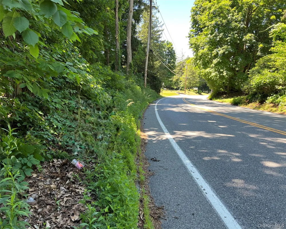 00 Baldwin Place Road Mahopac, NY 10541