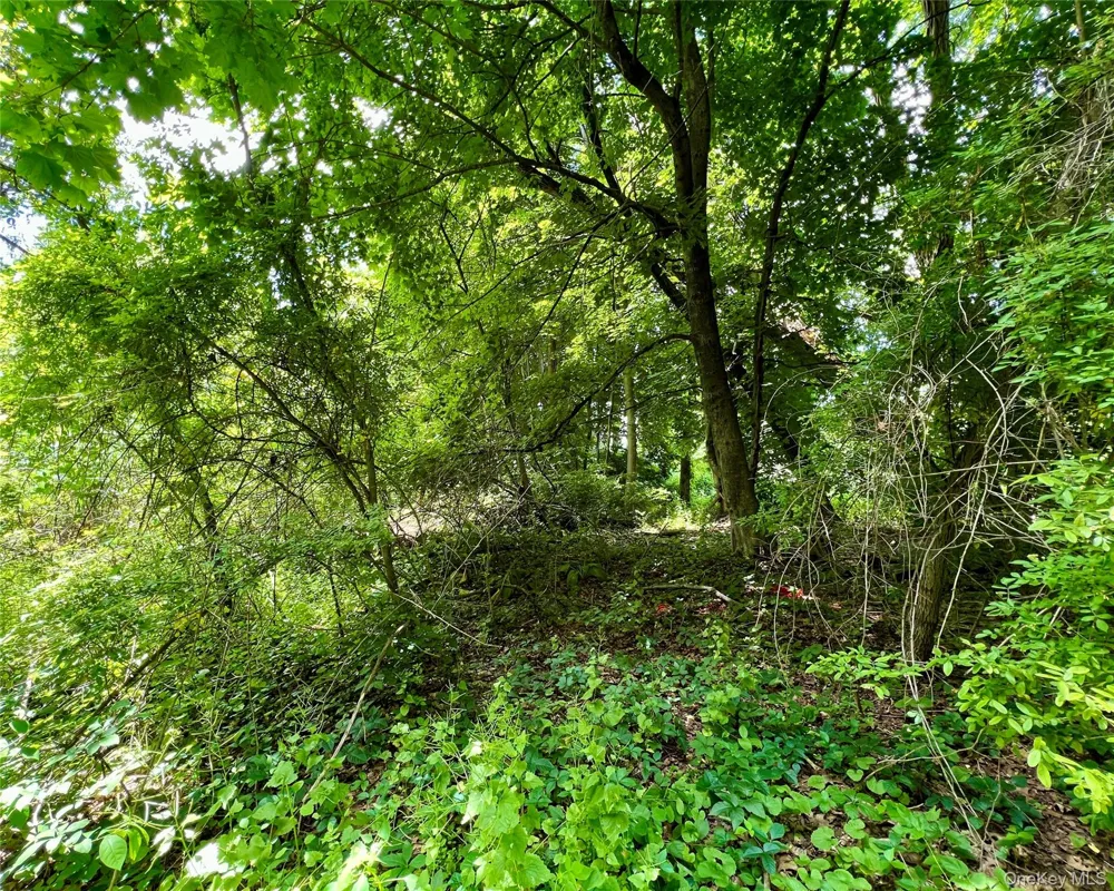 00 Baldwin Place Road Mahopac, NY 10541