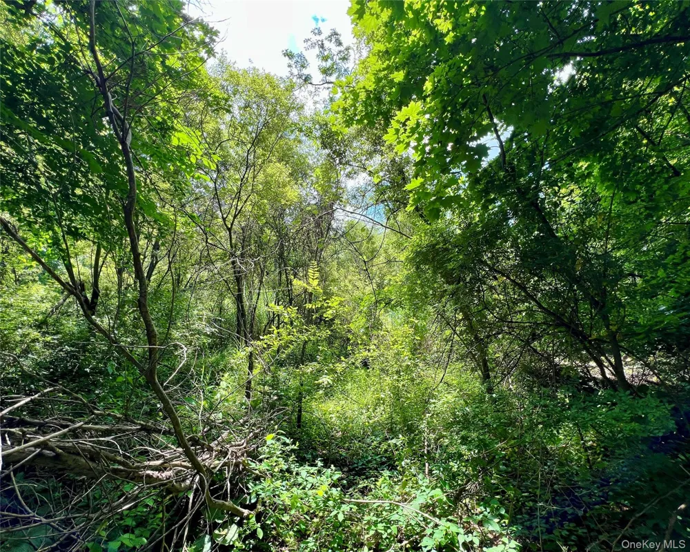 00 Baldwin Place Road Mahopac, NY 10541