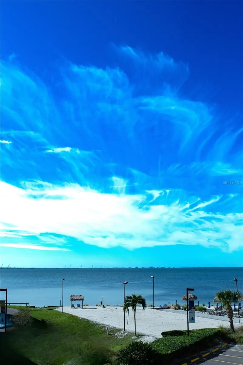 2506 ROCKY POINT DRIVE #301 Tampa, FL 33607