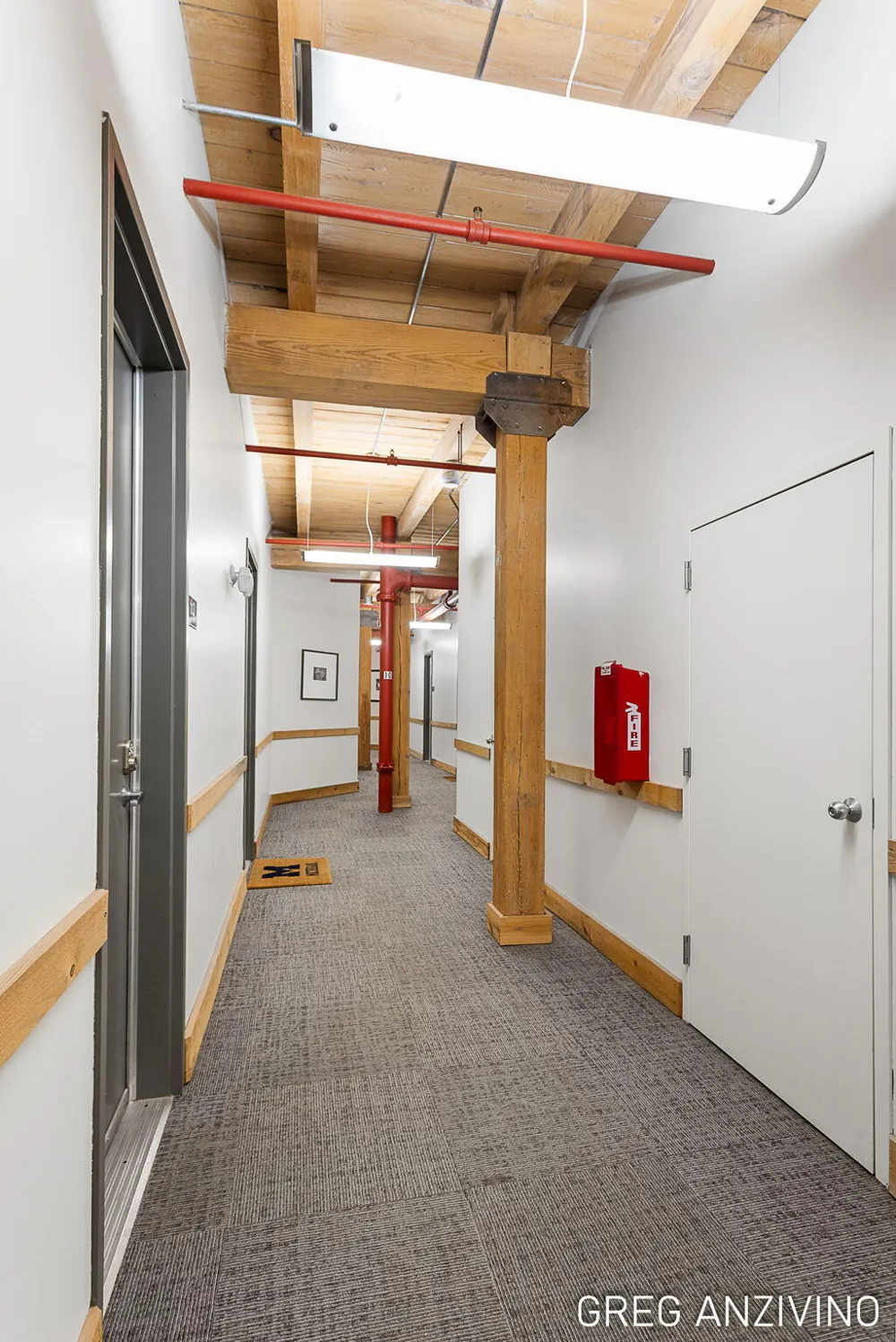 533 Columbia Avenue #113 Holland City, MI 49423