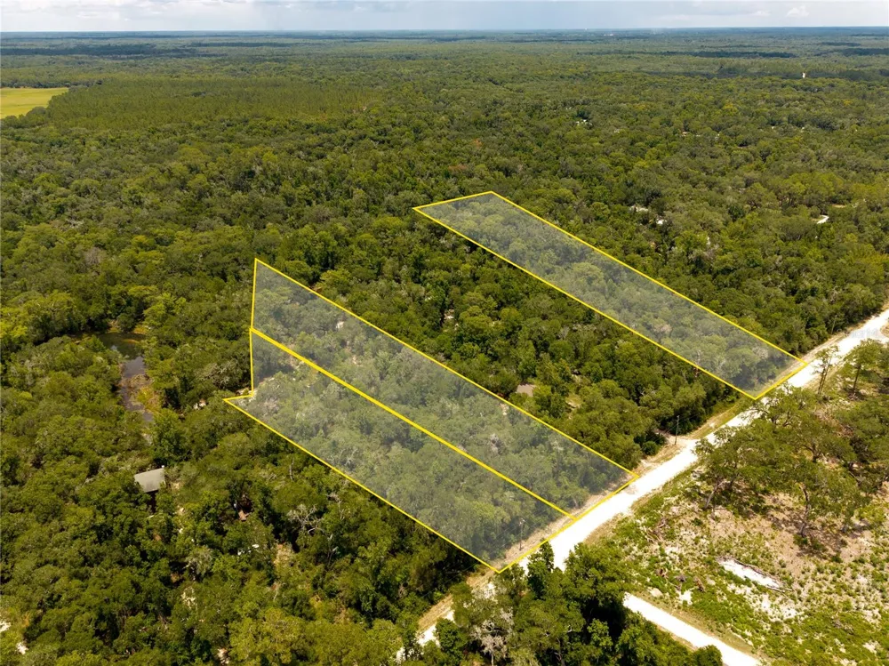 7337 RIVERVIEW DRIVE Webster, FL 33597