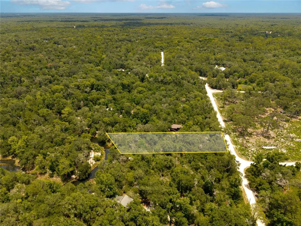7337 RIVERVIEW DRIVE Webster, FL 33597
