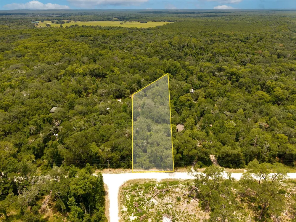 7337 RIVERVIEW DRIVE Webster, FL 33597