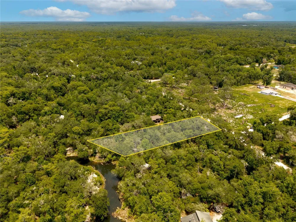 7337 RIVERVIEW DRIVE Webster, FL 33597