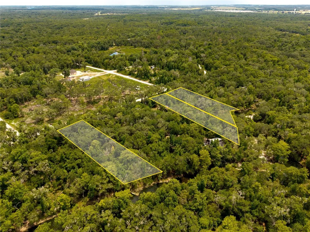 7337 RIVERVIEW DRIVE Webster, FL 33597