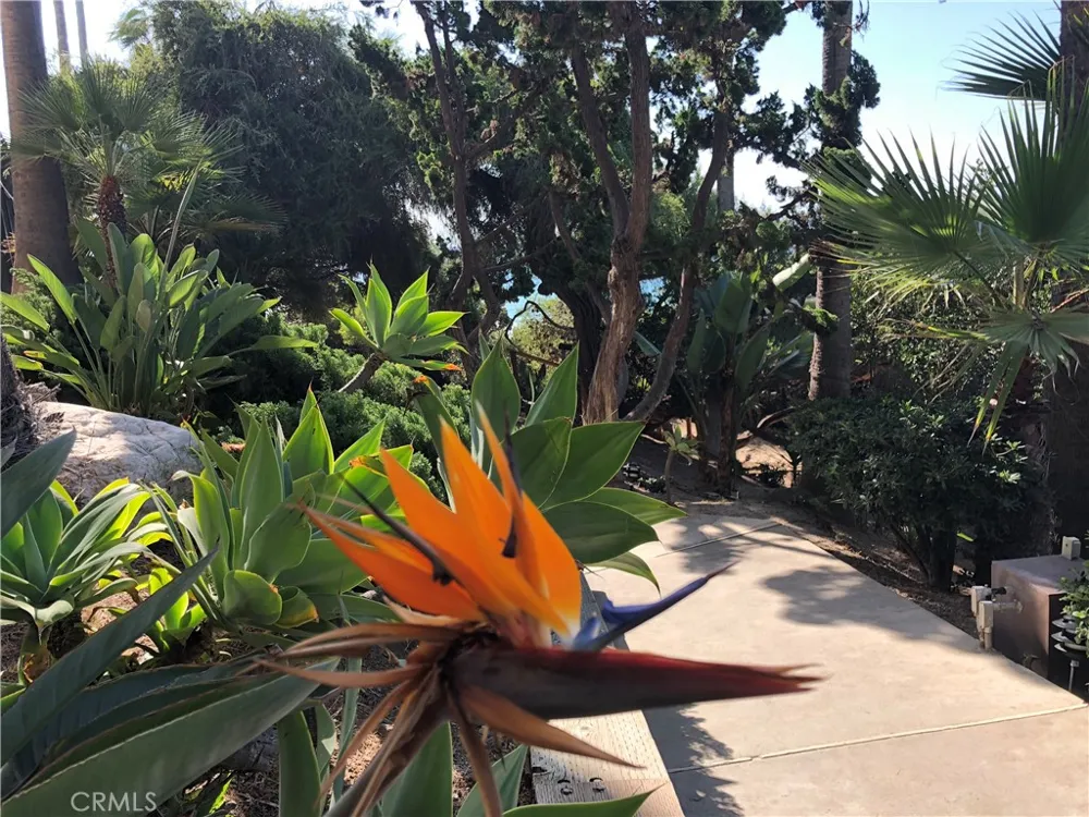 31423 Coast Highway S #12 Laguna Beach, CA 92651
