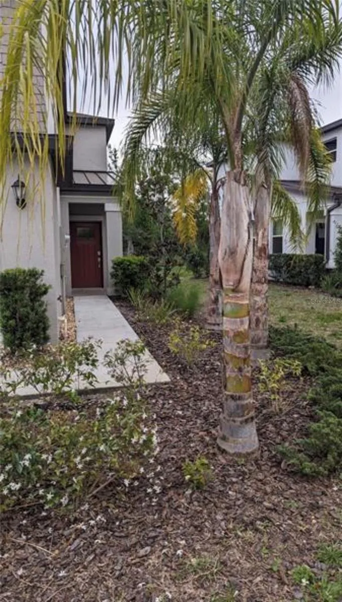1384 WHITE FOX RUN Lutz, FL 33549