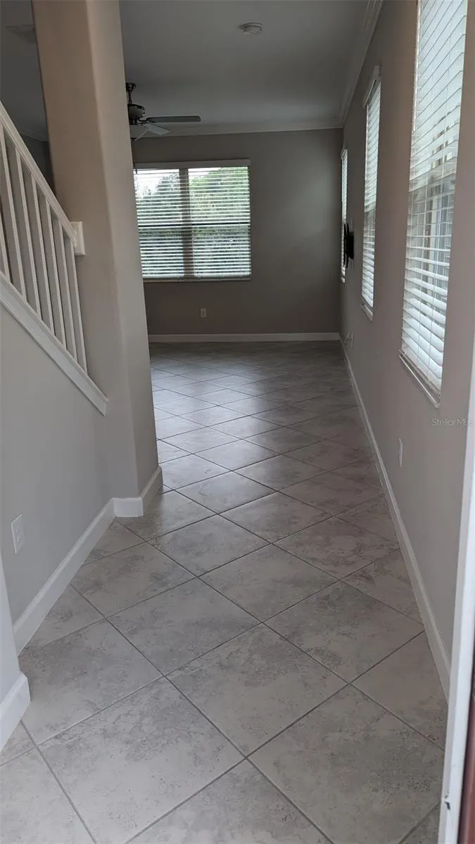 1384 WHITE FOX RUN Lutz, FL 33549