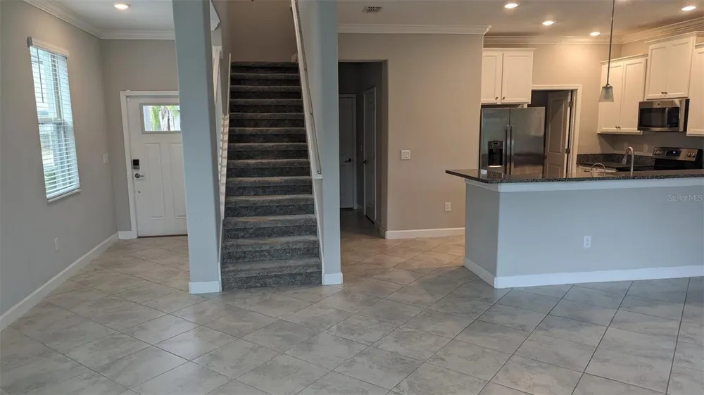 1384 WHITE FOX RUN Lutz, FL 33549