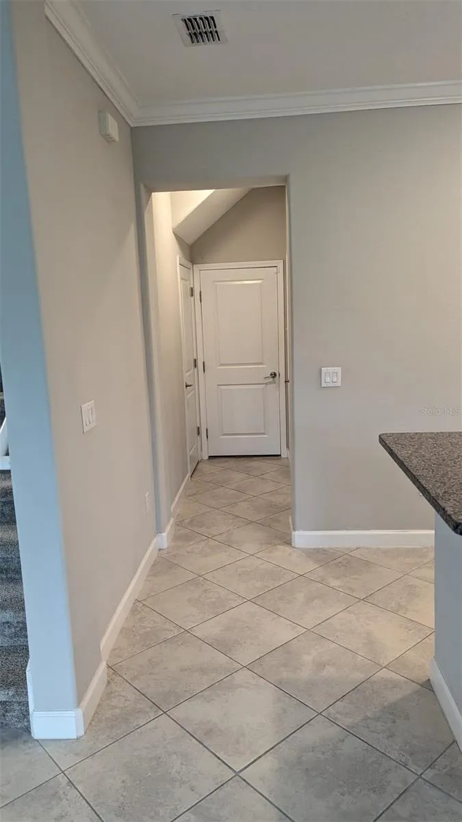 1384 WHITE FOX RUN Lutz, FL 33549