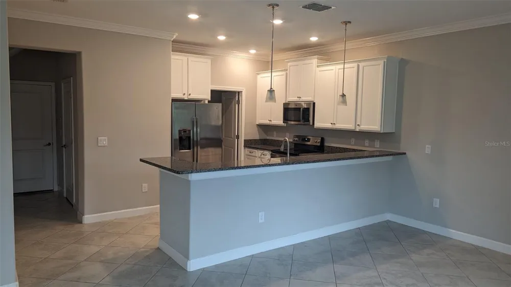 1384 WHITE FOX RUN Lutz, FL 33549