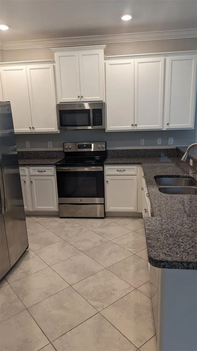 1384 WHITE FOX RUN Lutz, FL 33549