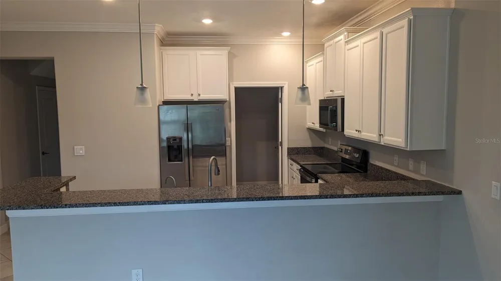1384 WHITE FOX RUN Lutz, FL 33549