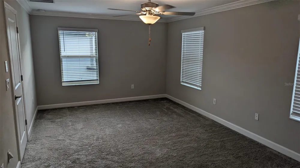 1384 WHITE FOX RUN Lutz, FL 33549
