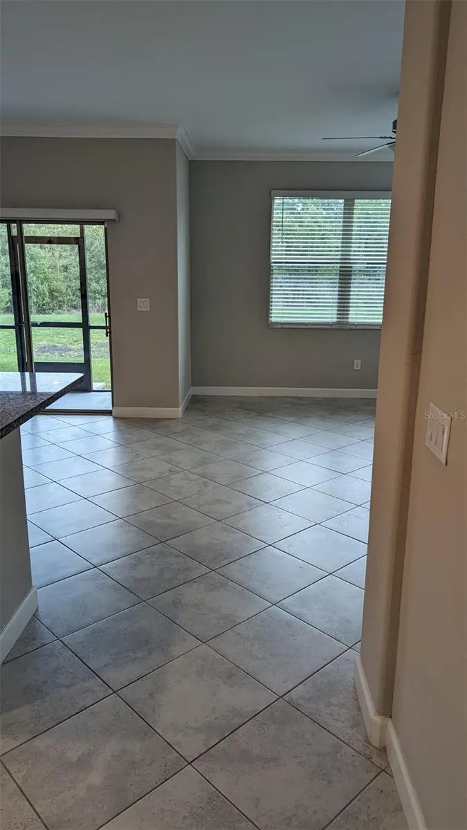 1384 WHITE FOX RUN Lutz, FL 33549