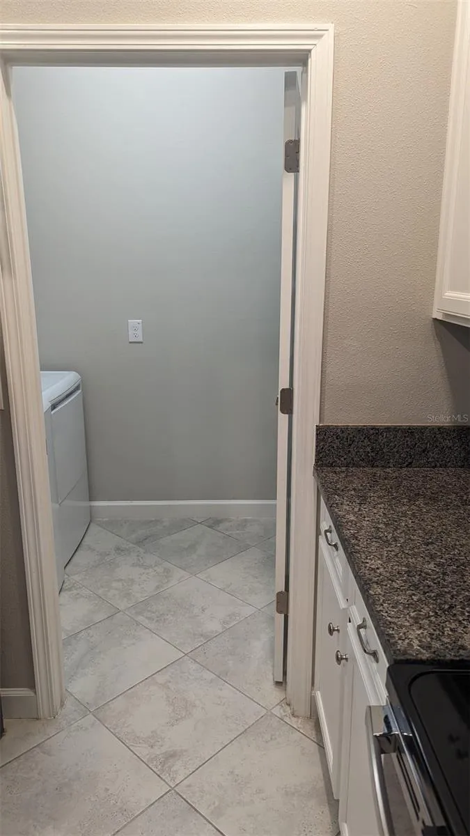 1384 WHITE FOX RUN Lutz, FL 33549