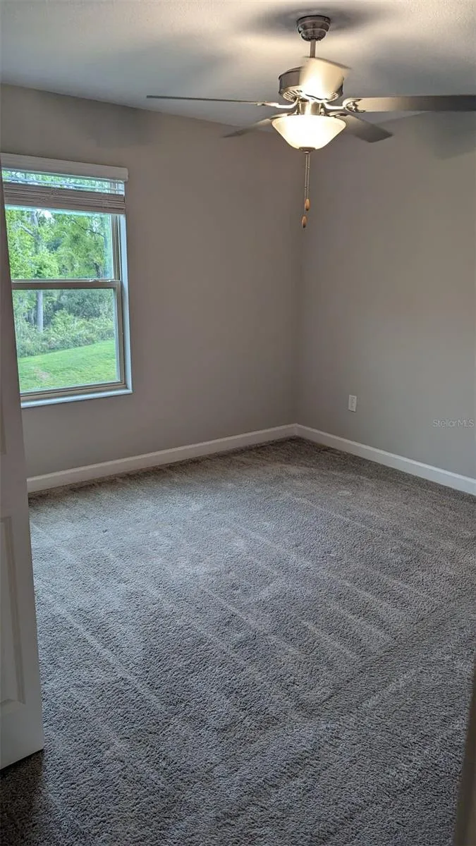 1384 WHITE FOX RUN Lutz, FL 33549