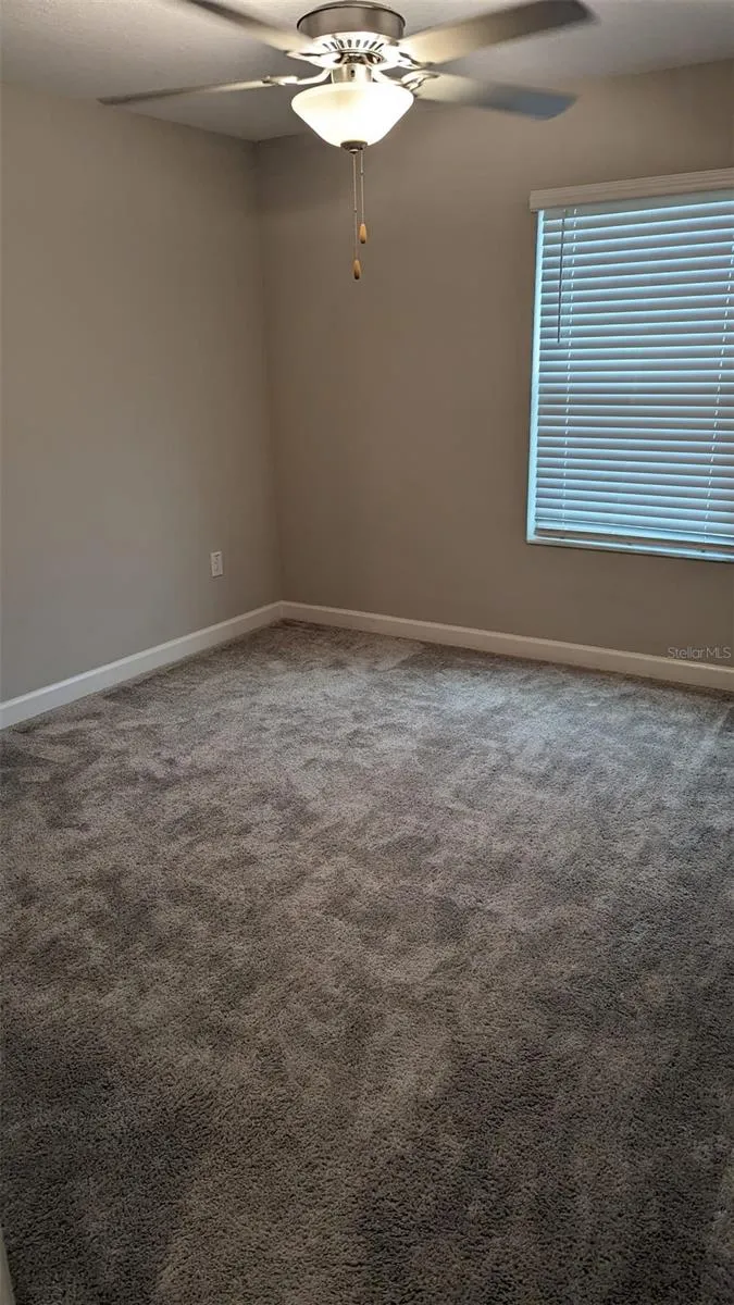1384 WHITE FOX RUN Lutz, FL 33549