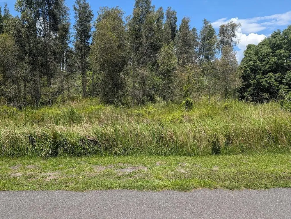 ARBOREA DRIVE Indian Lake Estates, FL 33855