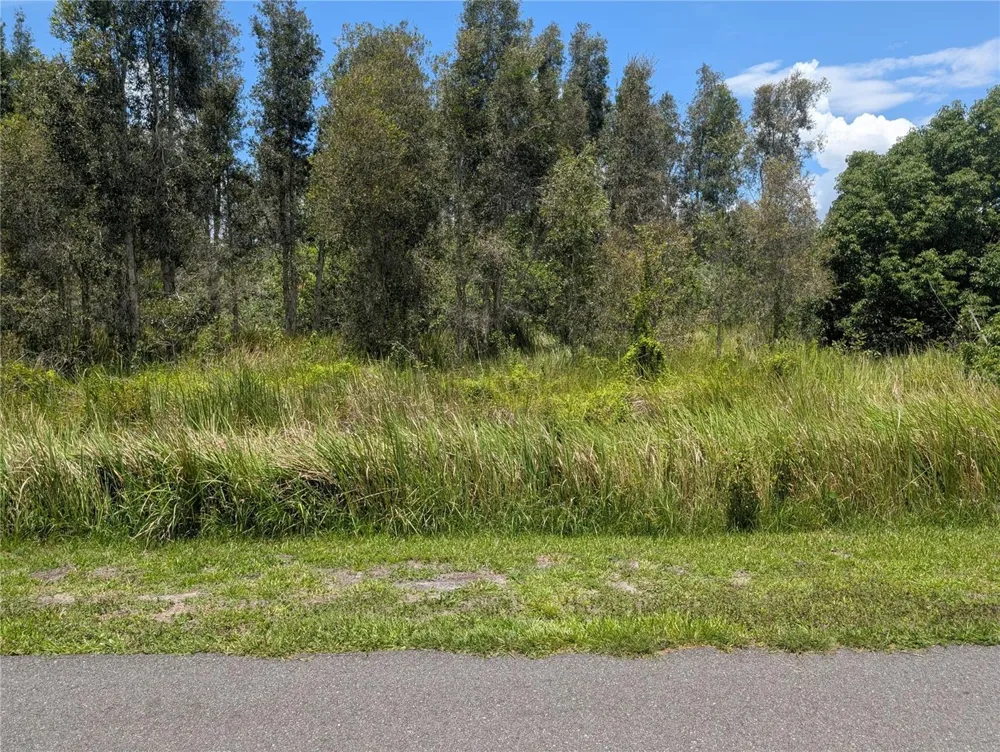 ARBOREA DRIVE Indian Lake Estates, FL 33855