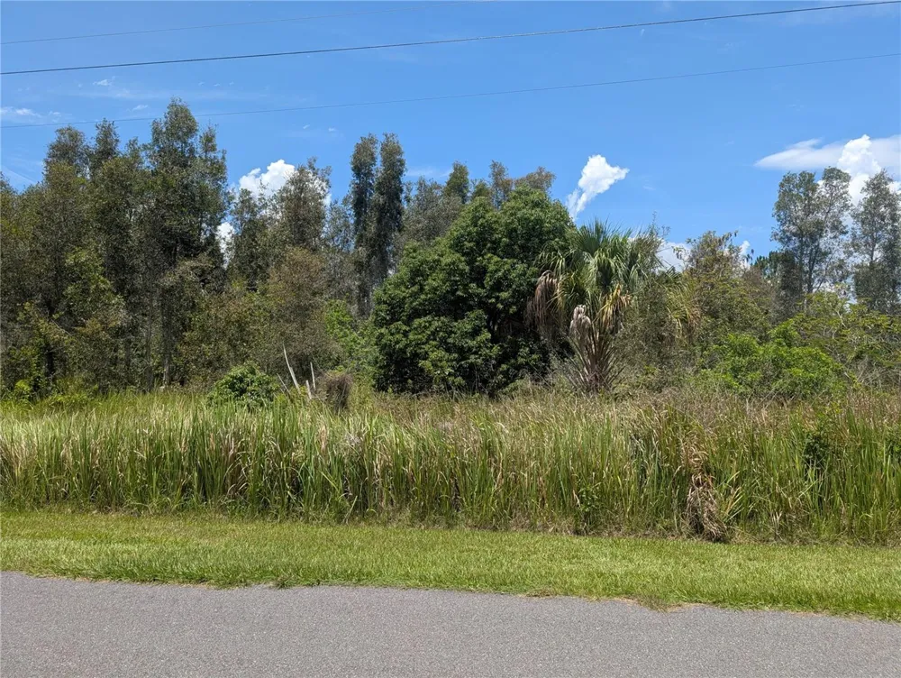 ARBOREA DRIVE Indian Lake Estates, FL 33855