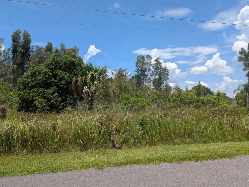 ARBOREA DRIVE Indian Lake Estates, FL 33855