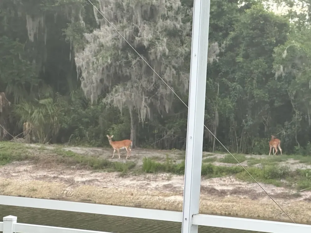 4527 FERRYS MILL PLACE Ellenton, FL 34222