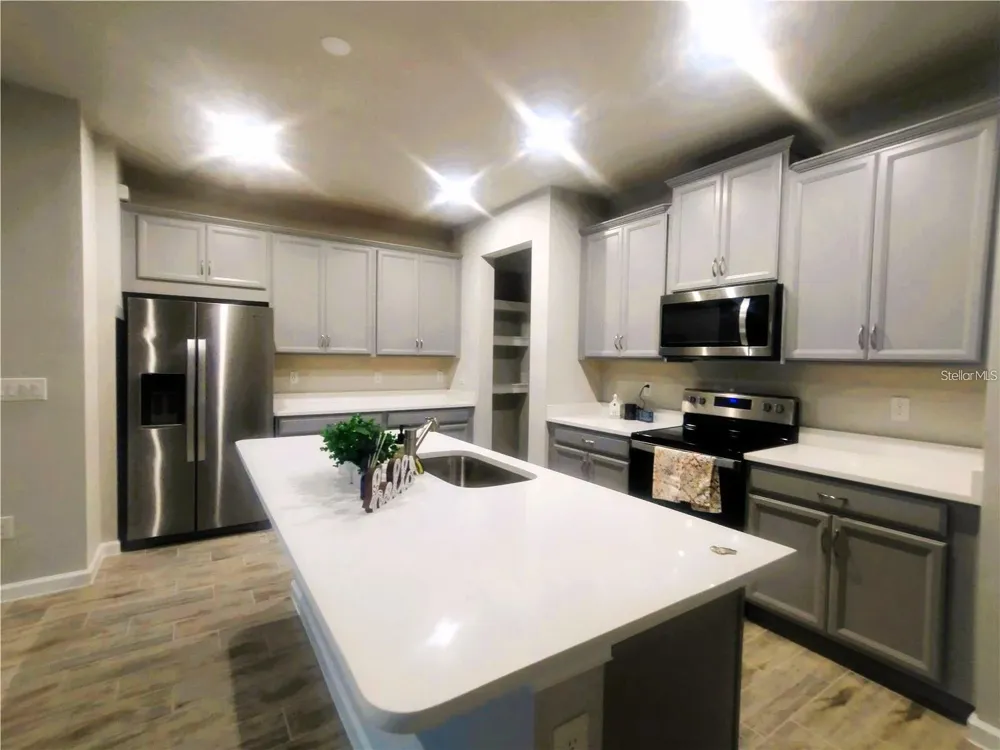 26010 WOVEN WICKER BEND Lutz, FL 33559