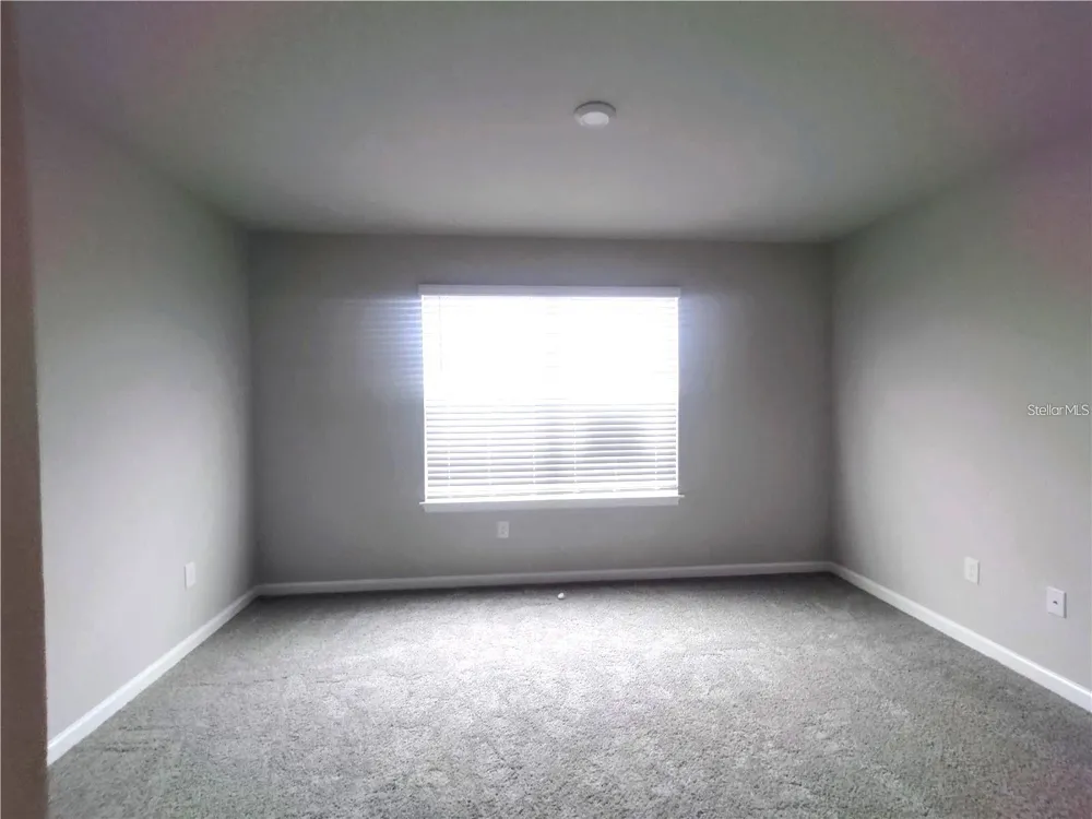 26010 WOVEN WICKER BEND Lutz, FL 33559