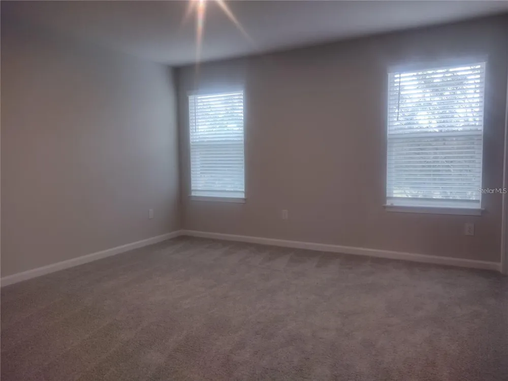 26010 WOVEN WICKER BEND Lutz, FL 33559