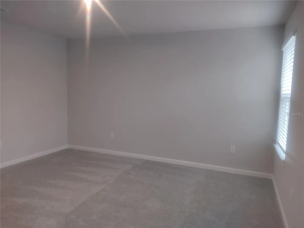 26010 WOVEN WICKER BEND Lutz, FL 33559