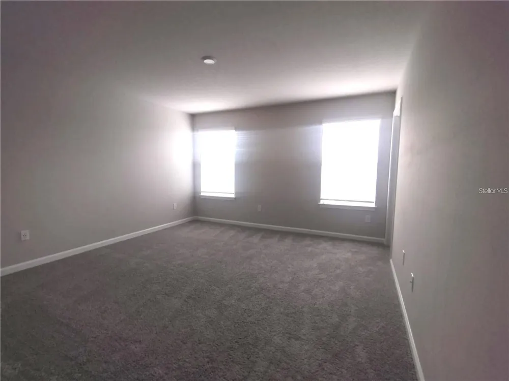 26010 WOVEN WICKER BEND Lutz, FL 33559