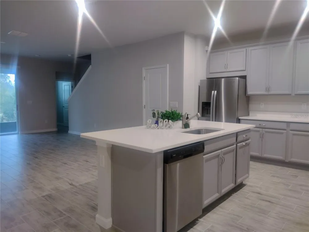 26010 WOVEN WICKER BEND Lutz, FL 33559