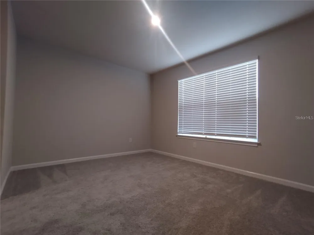 26010 WOVEN WICKER BEND Lutz, FL 33559