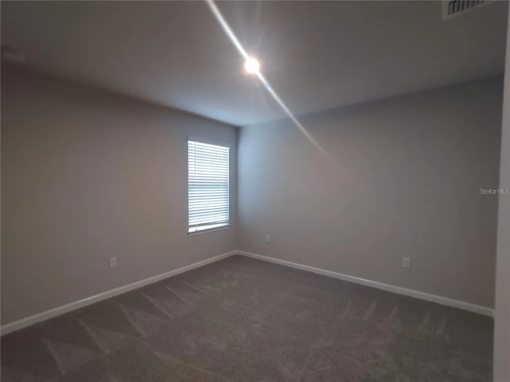 26010 WOVEN WICKER BEND Lutz, FL 33559