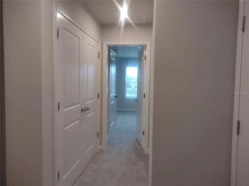 26010 WOVEN WICKER BEND Lutz, FL 33559