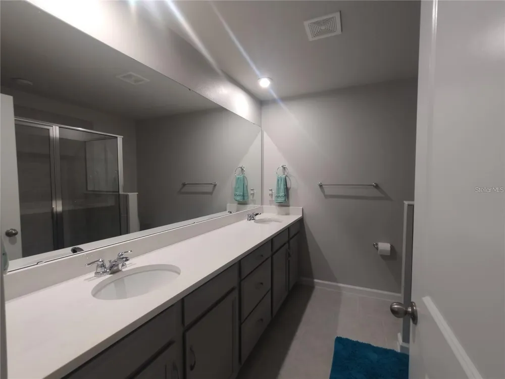 26010 WOVEN WICKER BEND Lutz, FL 33559